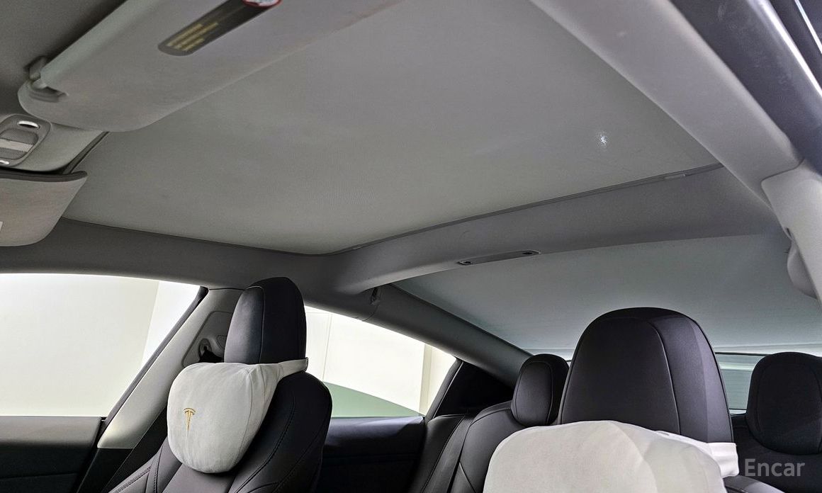 Model 3RWD 21