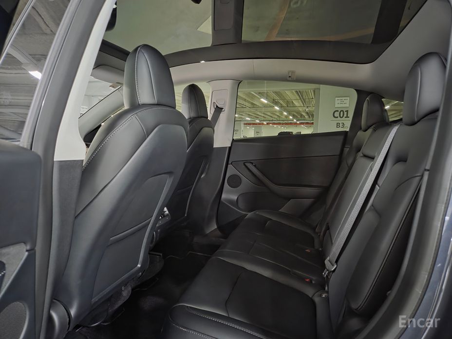 Model Y Long Range 15