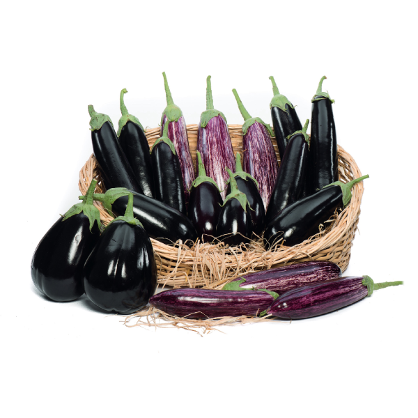 Семена Баклажана