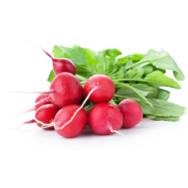 Семена Редиса