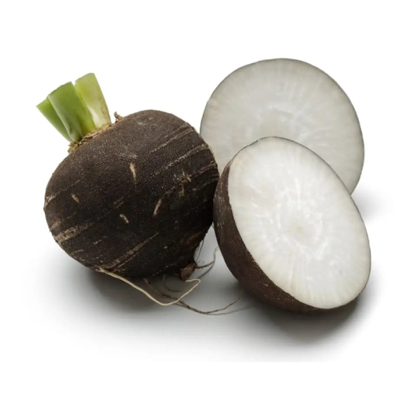 Семена Редьки