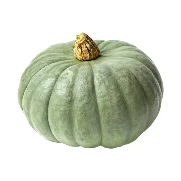 Семена Тыквы