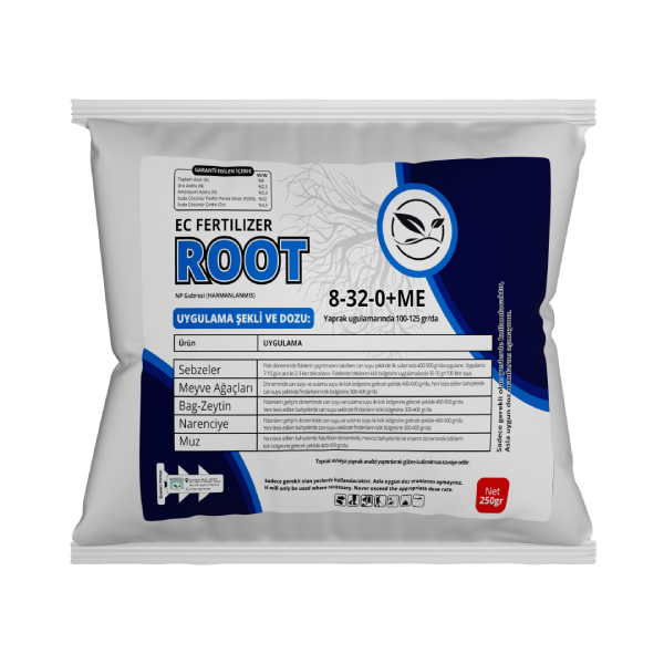 Root