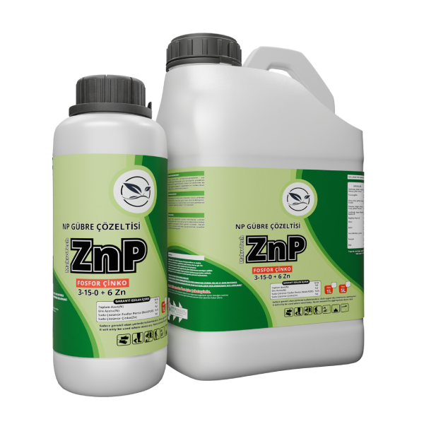 ZnP