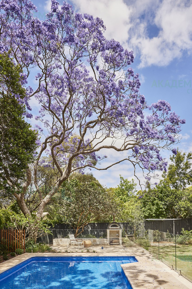 wisteria-house-carter-williamson-architects_19.jpg