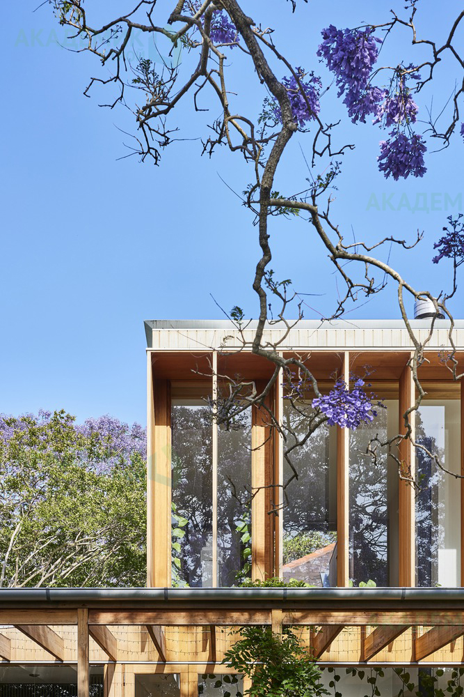wisteria-house-carter-williamson-architects_3.jpg