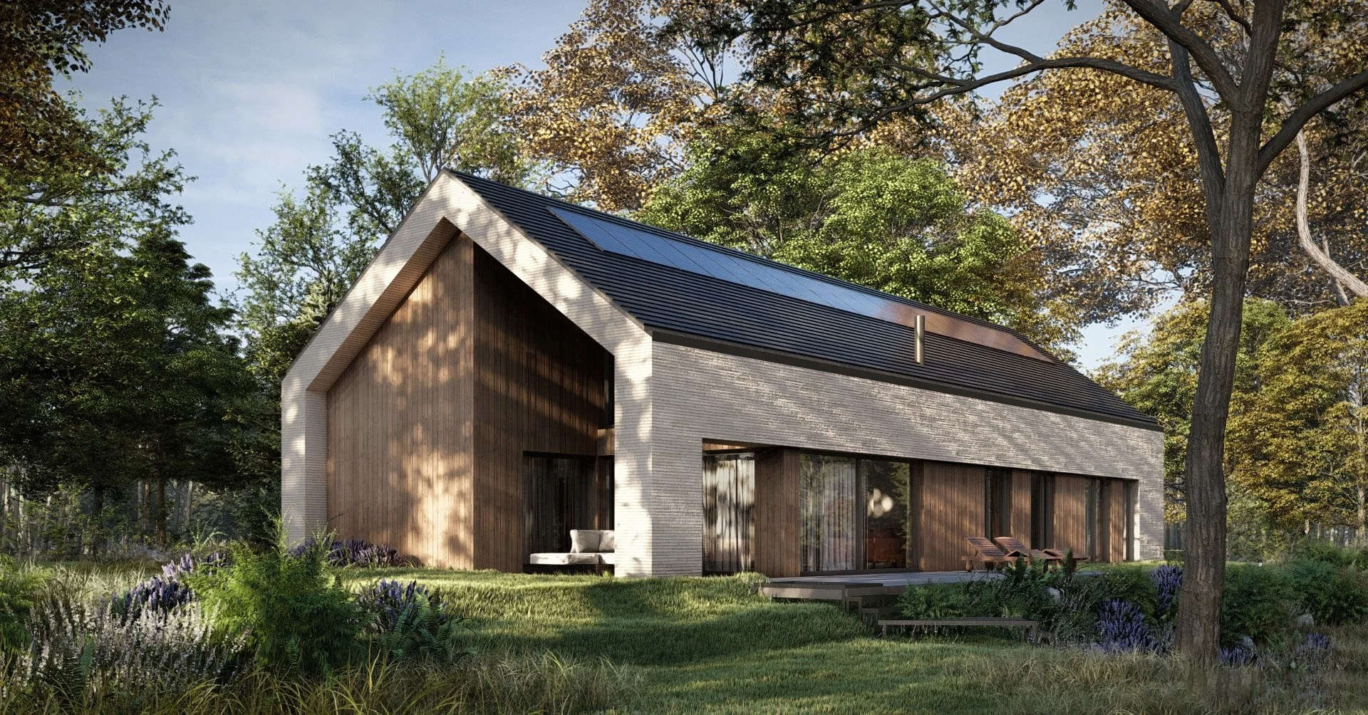 PROJEKT-STODOLA-SOLO-BIS-FRONT-PERSPEKTYWA-OGRODOWA-wersja-lustrzane-odbicie.jpg