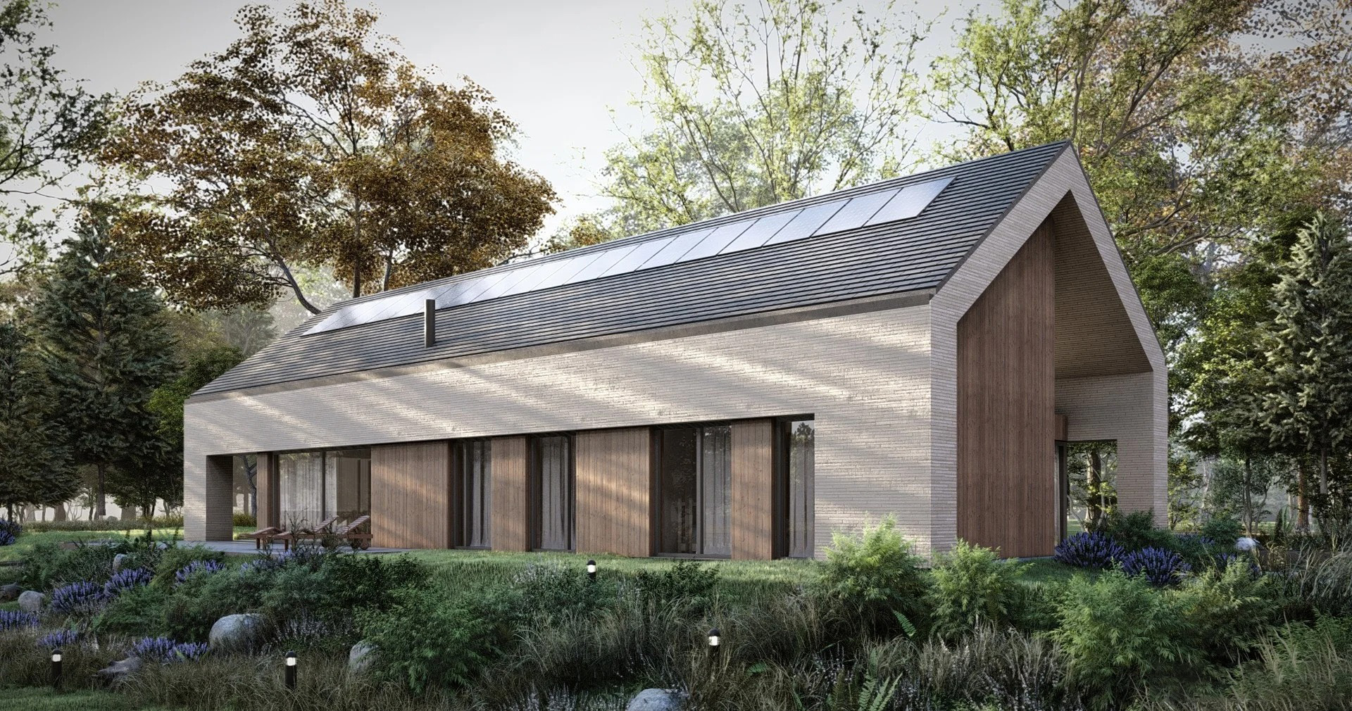 PROJEKT-STODOLA-SOLO-BIS-FRONTPERSPKTYWA-Z-OGRODU-wersja-lustrzane-odbicie.jpg