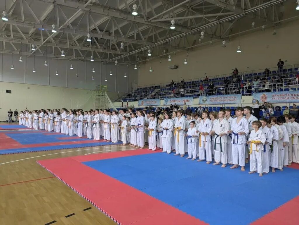 Алексинские спортсмены успешно выступили на открытом чемпионате Тульской области
