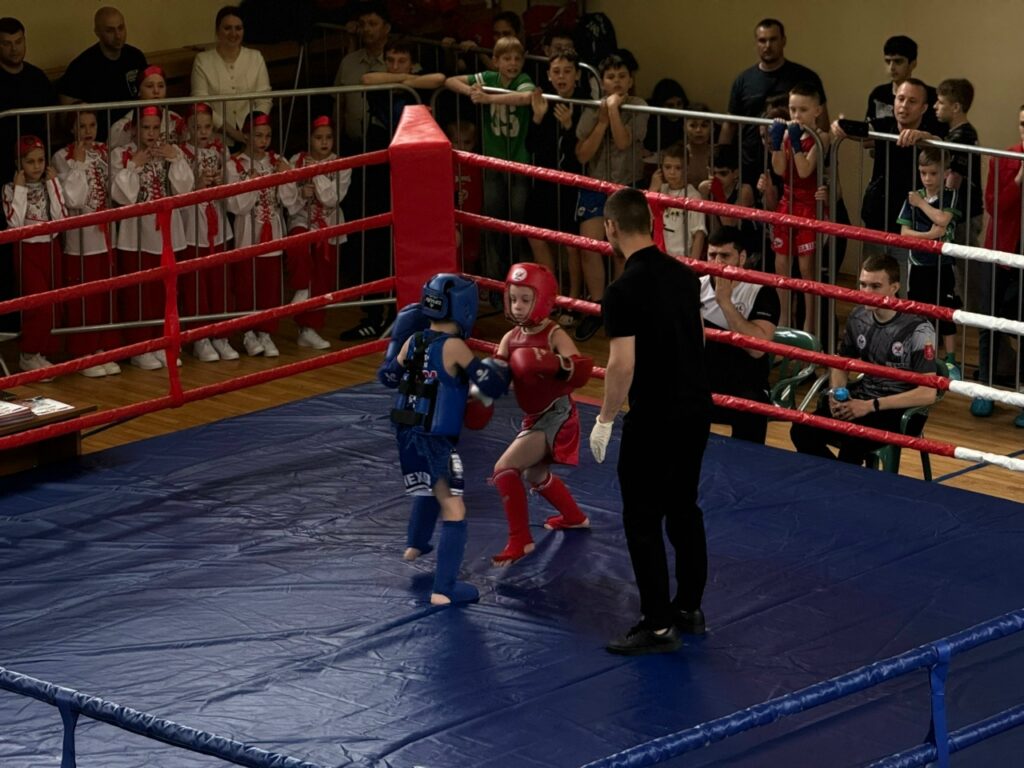 В Алексине стартовали Чемпионат и Первенство Тульской области по муайтай