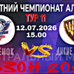 Центральный матч 11 тура летнего чемпионата АЛФ сезона 2026: Орлёнок — Дикие Ягоды