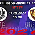 Центральный матч 14 тура Летнего чемпионата АЛФ сезона 2026: Бор — Дикие Ягоды