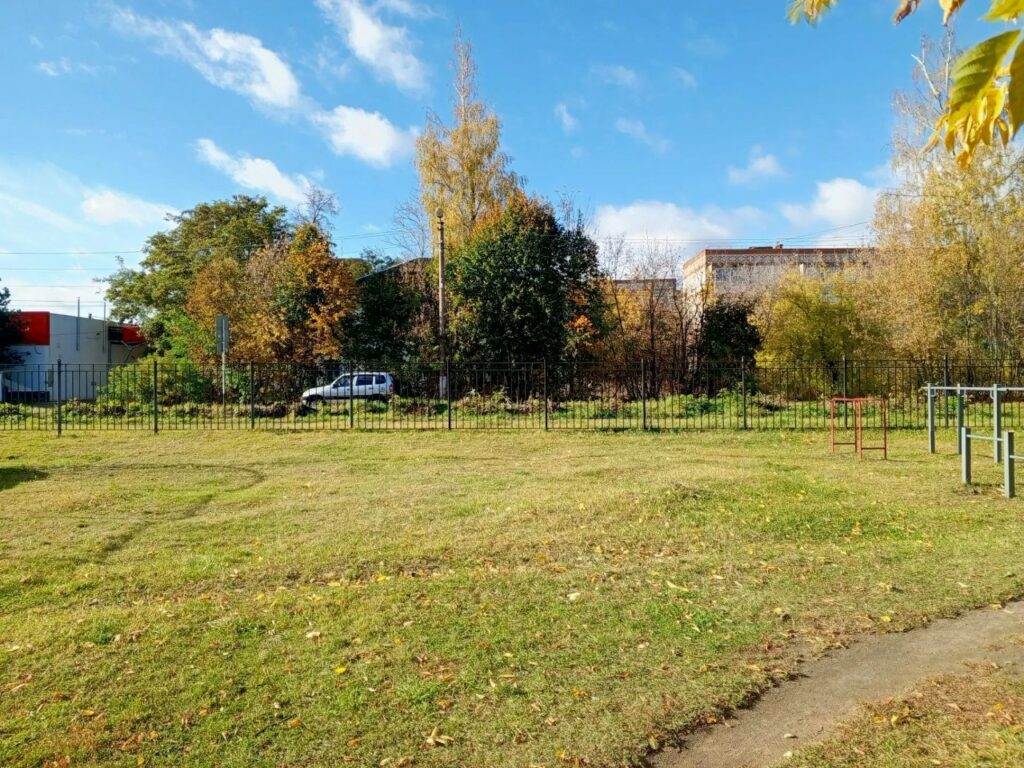 Участие ДЮСШ №1 г. Алексин в общегородском субботнике
