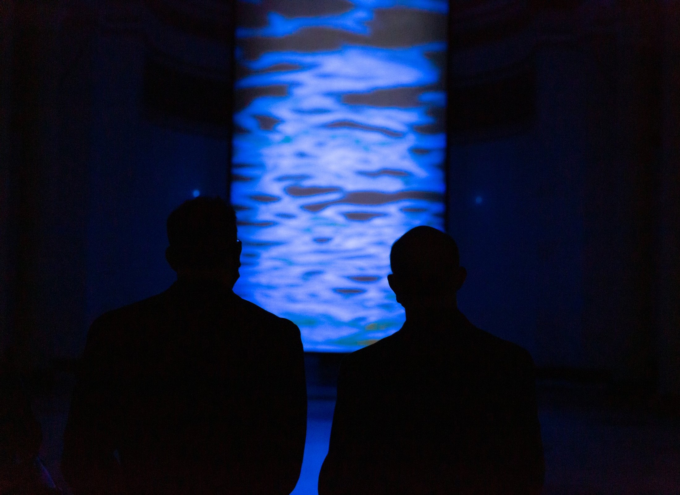 Bill Viola. Journey of the Soul, Pushkin State Museum of Fine Arts