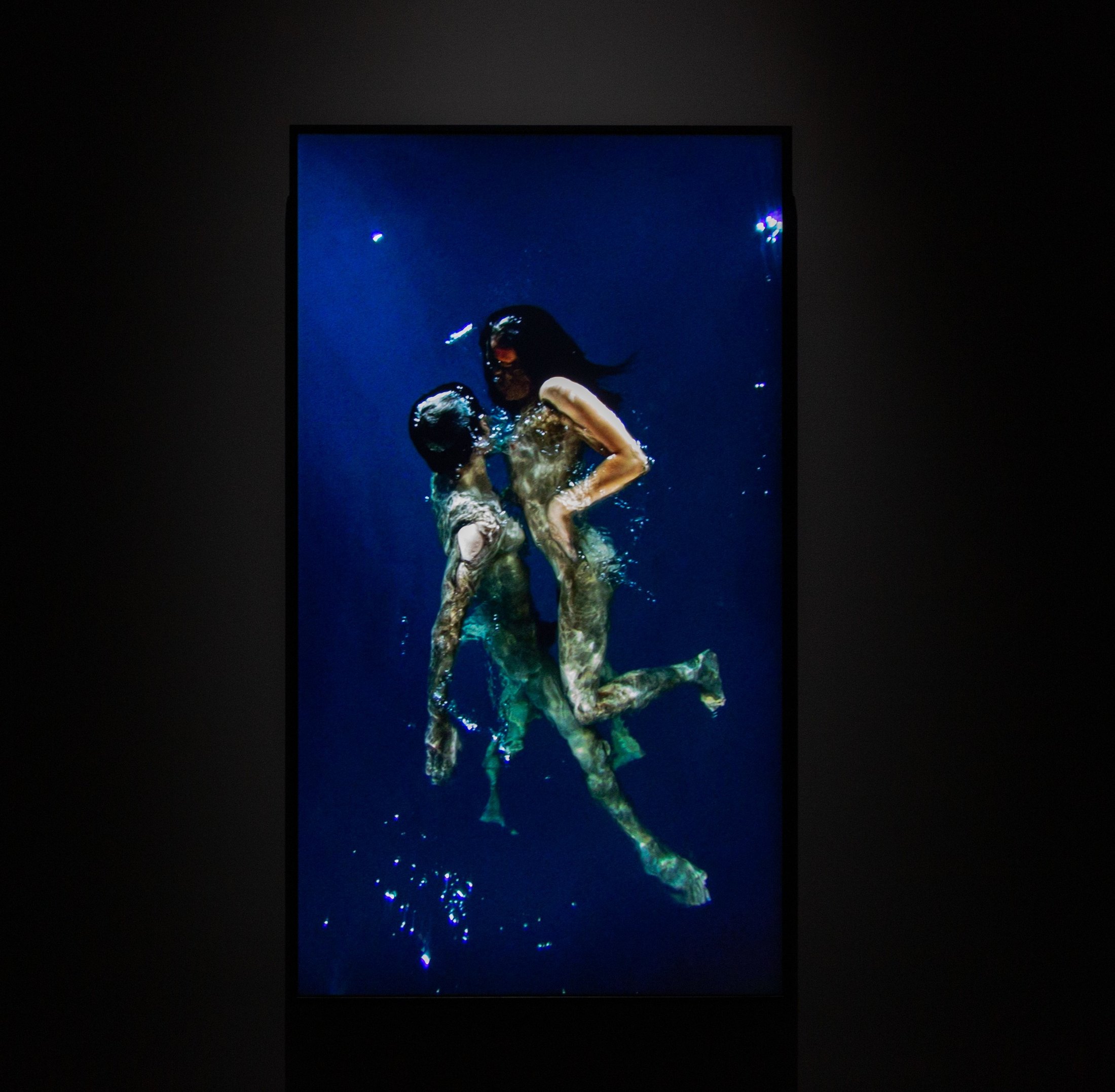 Bill Viola. Journey of the Soul, Pushkin State Museum of Fine Arts
