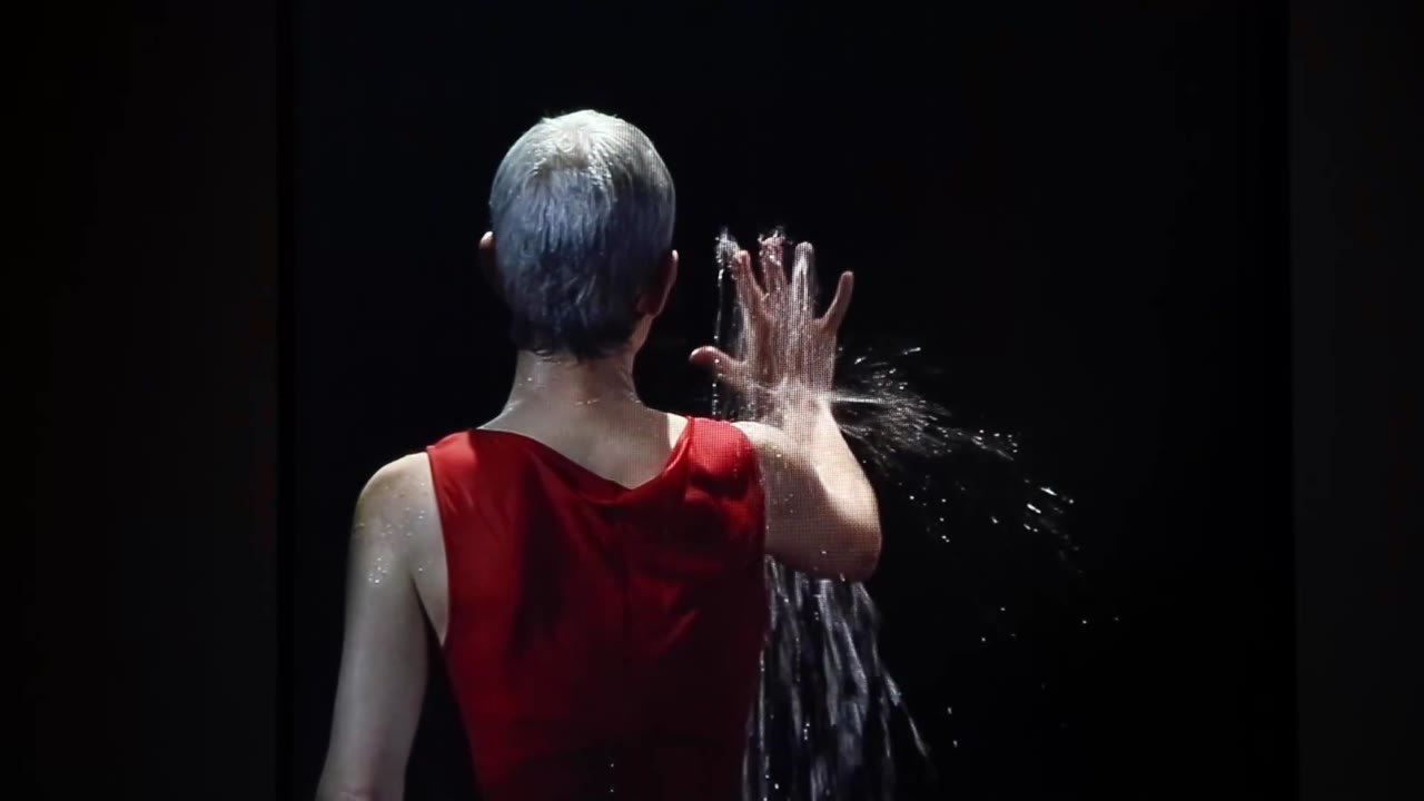 Bill Viola. Journey of the Soul