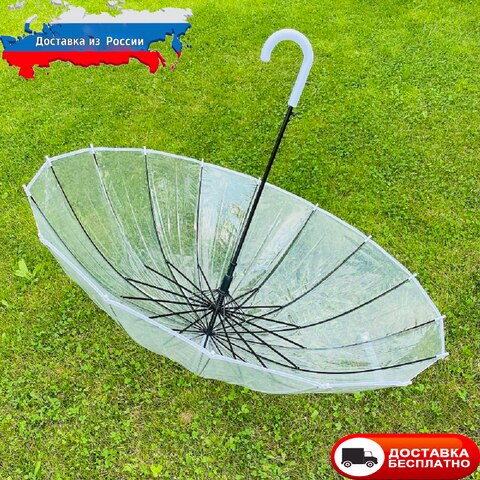 Зонт прозрачный. Зонт женский трость. Прозрачный зонт женский. Зонт полуавтомат. Зонты прозрачные. 1005001288937063
