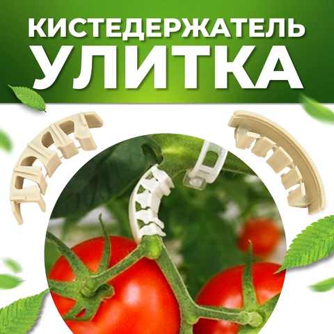 Кистедержатель для томатов, клипсы для растений, поддержка стебля, опора для помидор растение, подвязка помидор, растений 1005002992115817
