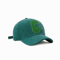 C полотенце вышивка женская бейсболка зимняя шапка зеленая Вельветовая плотная мужская шапка для женщин Снэпбэк Kpop аксессуары BQM189 1005003422824963
