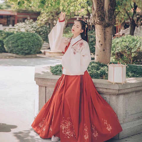 Женское платье Hanfu с вышивкой «фуронг луна», жакет, юбка с вышивкой «другой берег», юбка с изображением Красной лошади в повседневном стиле 1005003624475974