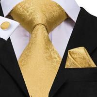 Мужской Шелковый комплект Hi-Tie с галстуком, желтые золотые галстуки и носовые платки, набор запонок, мужской свадебный костюм, модный шейный галстук, C-3053 32908001399