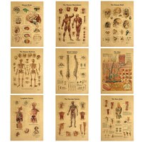 Конструкция тела Скелет нервная система ВИНТАЖНЫЙ ПЛАКАТ медицинский декор живопись стена искусство крафт-бумага настенные наклейки 4000971691392