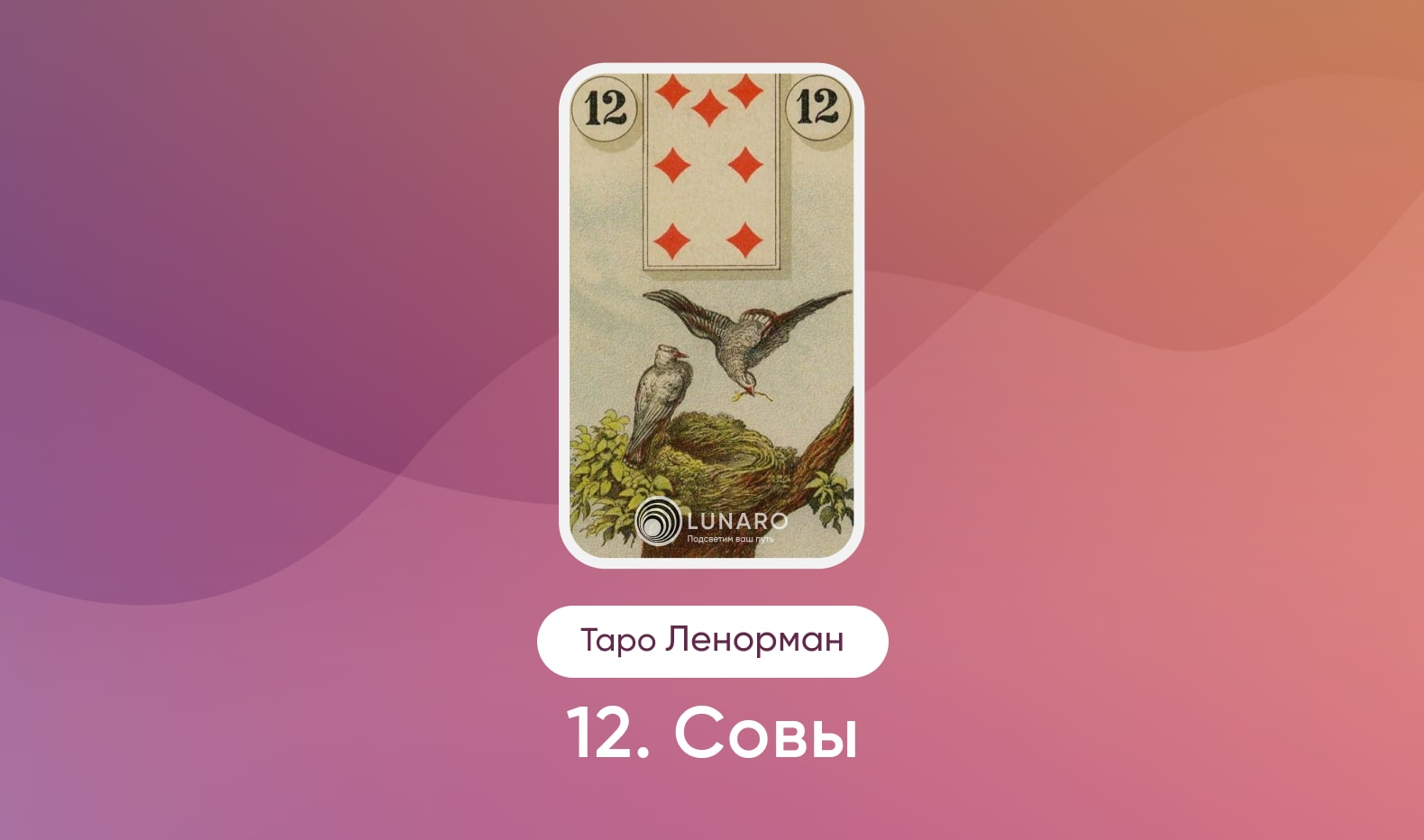 Карта Таро Ленорман Совы значение и сочетание