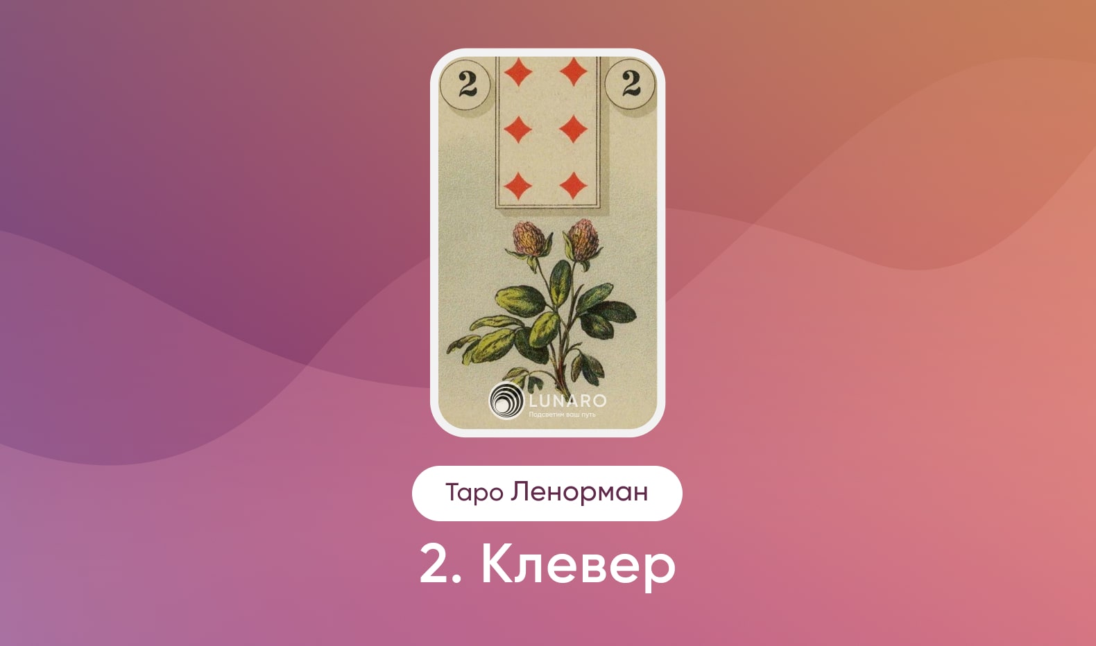 Карта Таро Ленорман Клевер значение и сочетание