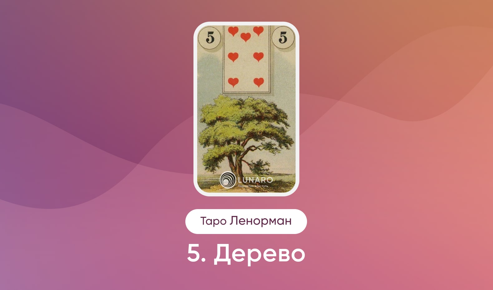Карта Таро Ленорман Дерево значение и сочетание
