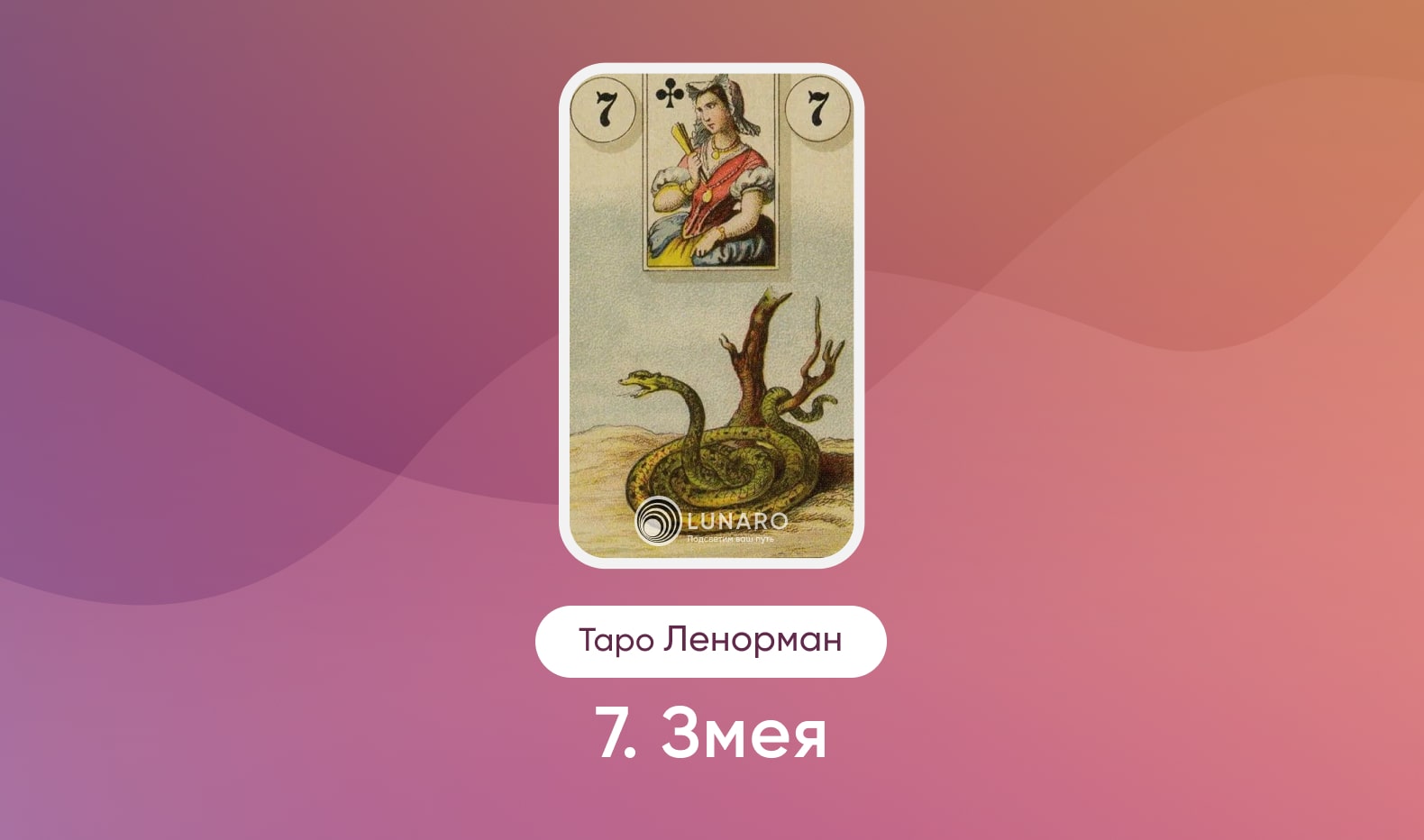 Карта Таро Ленорман Змея значение и сочетание