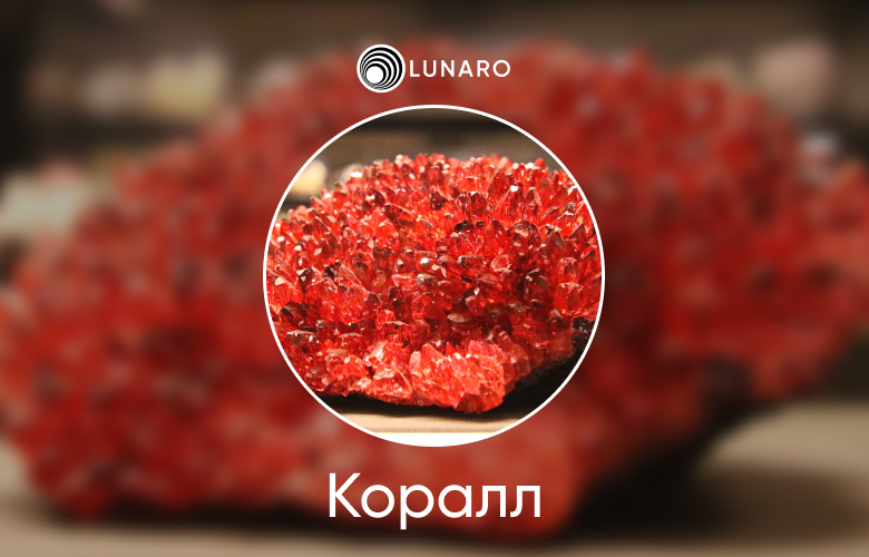 Значение и символика драгоценного камня Коралл
