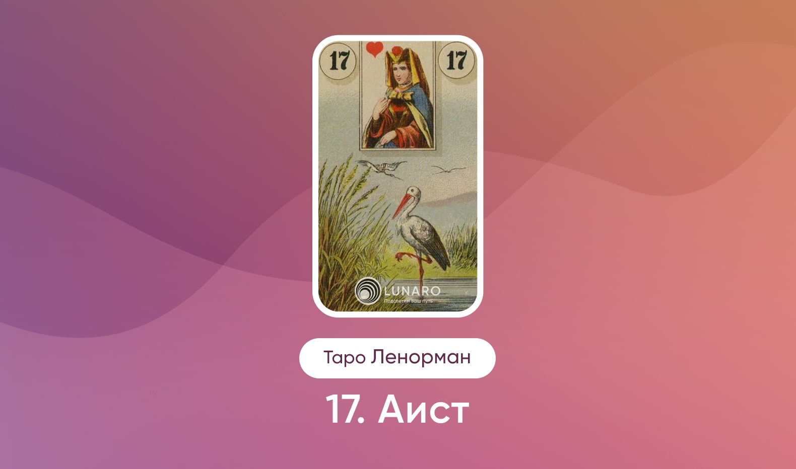 Аист в Таро Ленорман, значение карты в раскладах
