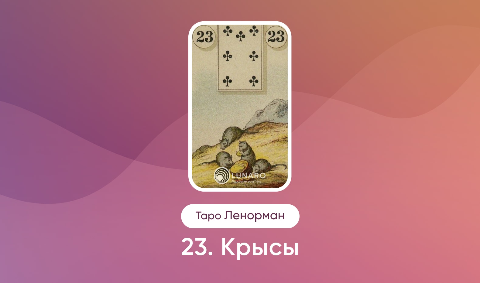 Крысы в Таро Ленорман, значение карты в раскладах