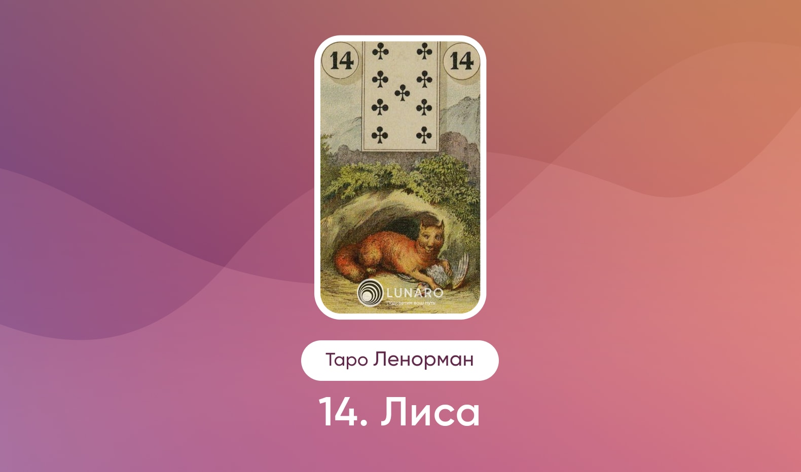 Лиса в Таро Ленорман, значение карты в раскладах