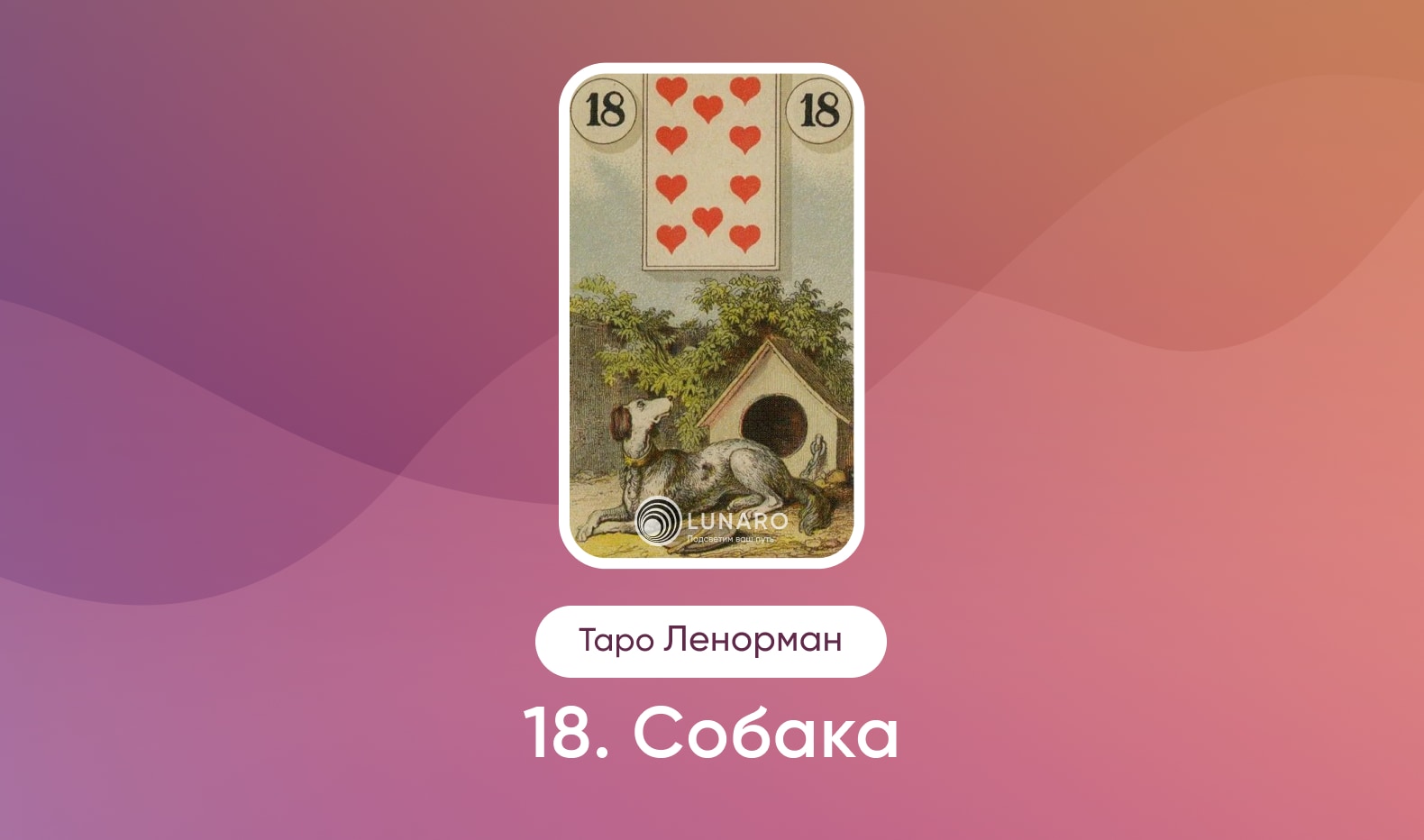 Собака в Таро Ленорман, значение карты в раскладах