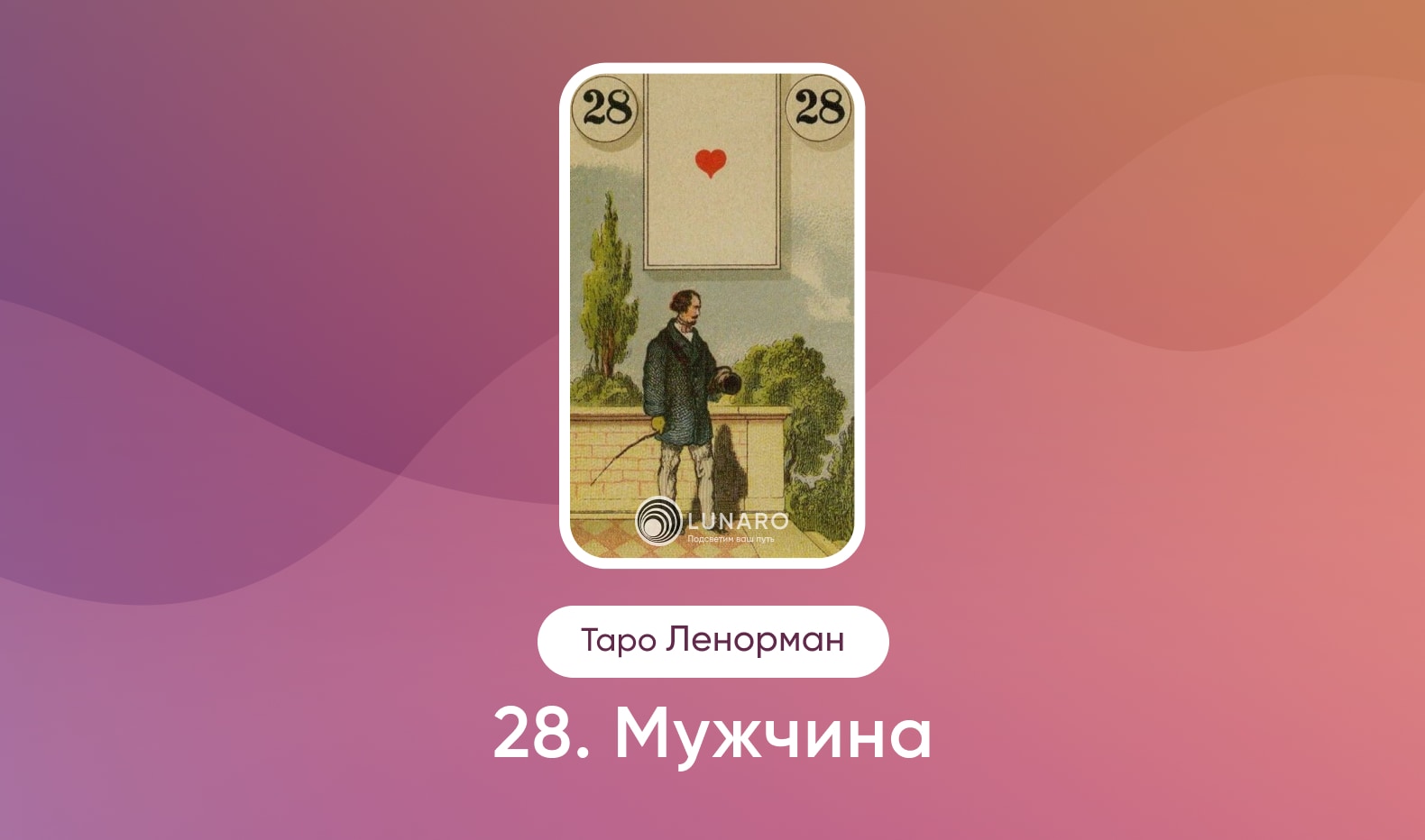 Мужчина в Таро Ленорман, значение карты в раскладах