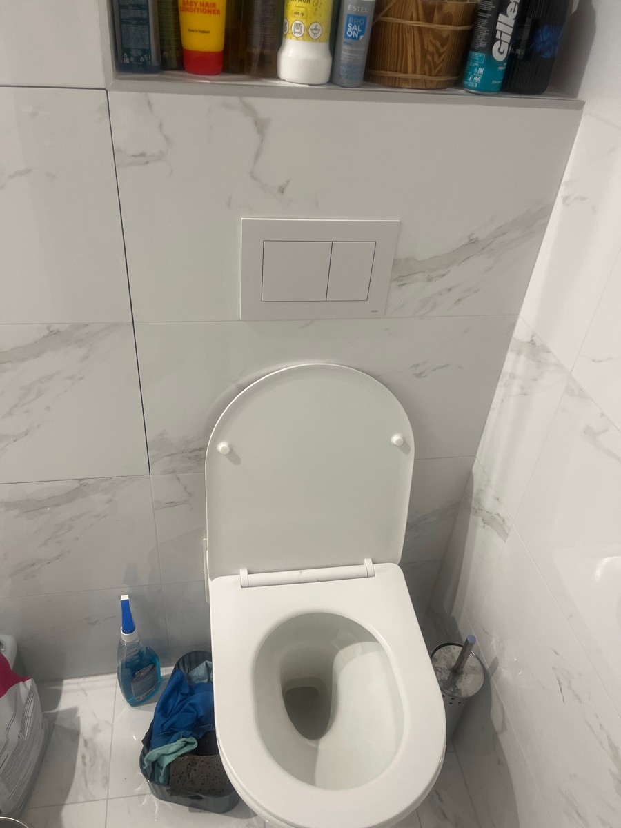 Отличная инсталляция и унитаз