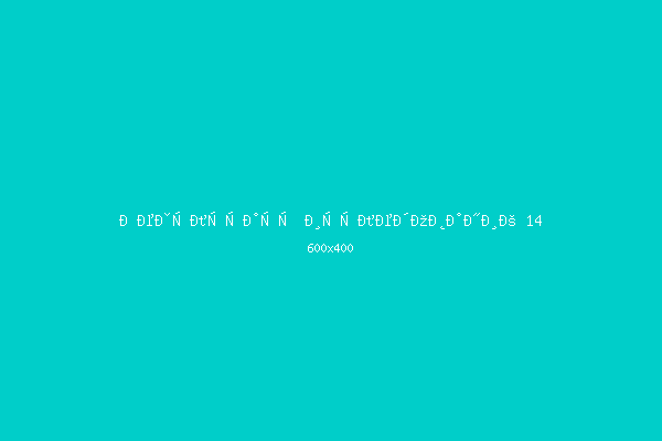 Результаты исследований 14