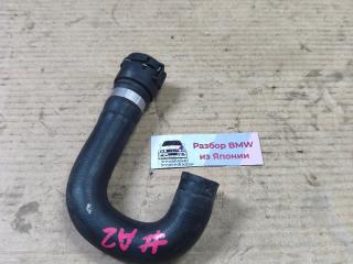 патрубок радиатора BMW X5 E53 [рестайлинг] E53 2005, 3.0 л., M57 D30 (306D2), дизель, АКПП, black-sapphire metallic (475), внедорожник 5 дв., правый руль, 7791170, 11537791170