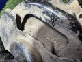 подушка крепления двигателя BMW X5 M E70 (2009 - 2013), 4.4 л., S63 B44 A, бензин, АКПП, внедорожник 5 дв., полный привод, 22116793642, 6793642 - фото №4