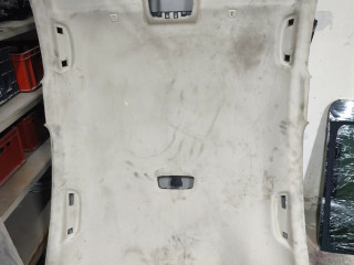 потолок BMW 5 серия G30/G31 G30 (2016 - 2020), бензин, АКПП, задний привод, 7419735-18, 7419735, 51447419735