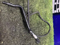 трубка вакуумная BMW, 2.0 л., N47 D20 C, дизель, 11668508215, 8508215 - фото №2