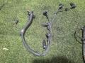 проводка свечей накала BMW 7 серия F01/F02 F01 2009, 3.0 л., N57 D30 A, дизель, АКПП, черный, седан, задний привод, 12518583653, 8583653 - фото №2