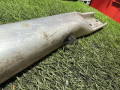 распорка кузова BMW X5 M E70 (2009 - 2013), 4.4 л., S63 B44 A, бензин, АКПП, внедорожник 5 дв., полный привод, 51717205151, 7205151 - фото №4