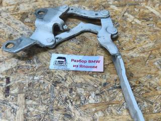 петля капота правая BMW 3 серия E90/E91 [рестайлинг] E90 2011, 2.0 л., N43 B20 A, бензин, АКПП, alpinweiss 3(300), седан, задний привод, правый руль, 7115264