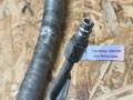 трубка кондиционера BMW 5 серия E60/E61 E60 2004, 3.0 л., M54 B30 (306S3), бензин, АКПП, темно-зелёный, седан, задний привод, 6921017, 64536921017 - фото №5