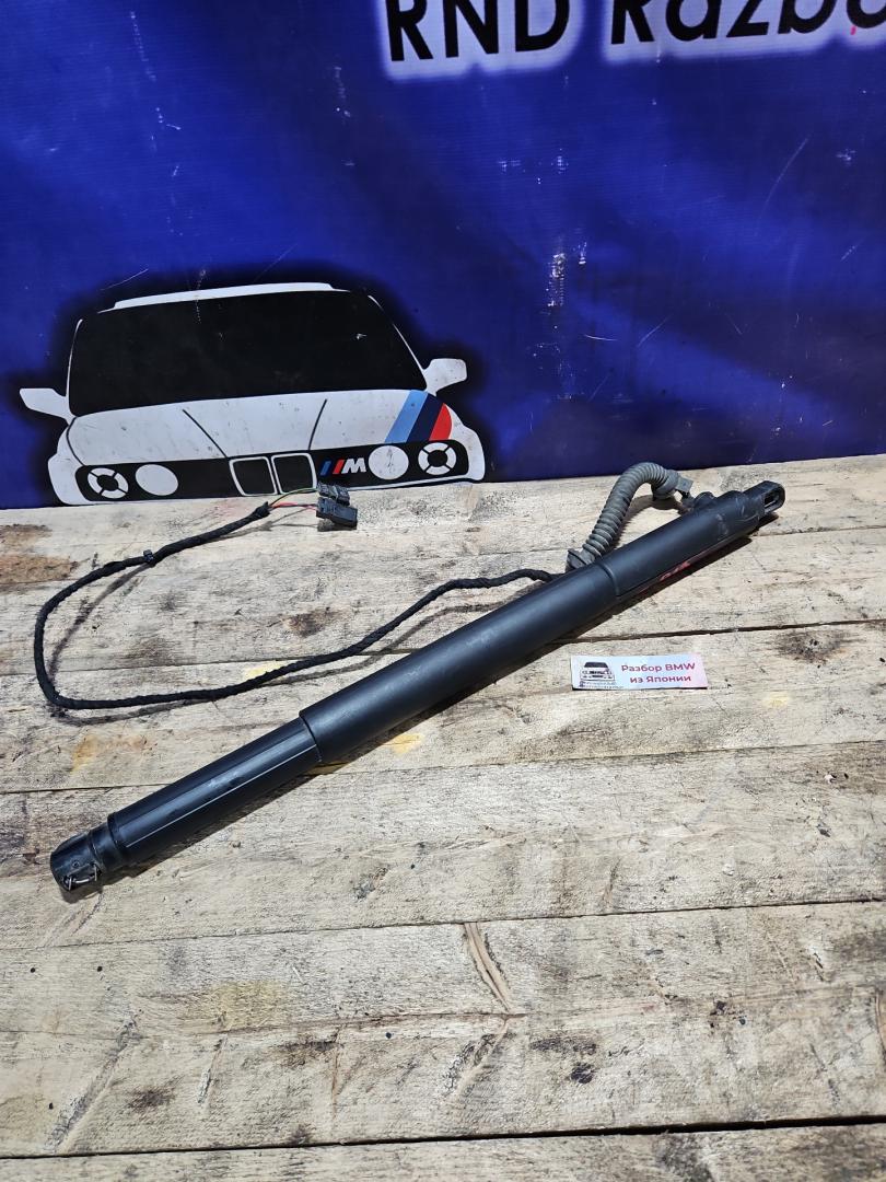 амортизатор крышки багажника (3-5 двери) BMW X6 E71/E72 E71 2008, 4.4 л., N63 B44 A, бензин, АКПП, black sapphire metallic 475, внедорожник 5 дв., полный привод, 7188489, 51247188489 - фото №1