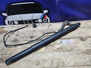 амортизатор крышки багажника (3-5 двери) BMW X6 E71/E72 E71 2008, 4.4 л., N63 B44 A, бензин, АКПП, black sapphire metallic 475, внедорожник 5 дв., полный привод, 7188489, 51247188489