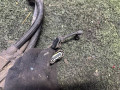 проводка BMW X6 E71/E72 E71 2008, 4.4 л., N63 B44 A, бензин, АКПП, black sapphire metallic 475, внедорожник 5 дв., полный привод, 12517575579, 7575579 - фото №4