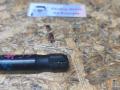 амортизатор капота BMW 5 серия F07/F10/F11 F11 2010, 3.0 л., N55 B30 A, бензин, АКПП, белый, универсал, задний привод, правый руль, 51237206644, 7206644 - фото №5
